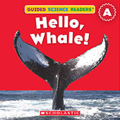 Book cover: Hello, Whale