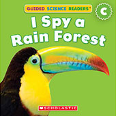 Book cover: I Spy a Rain Forest