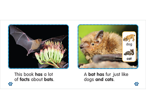 inner spread: Bat Facts