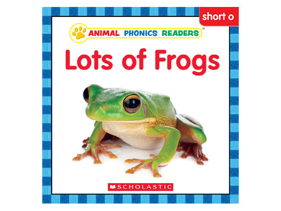 Animal Phonics Readers | Lefty's: Book packaging and writing by 