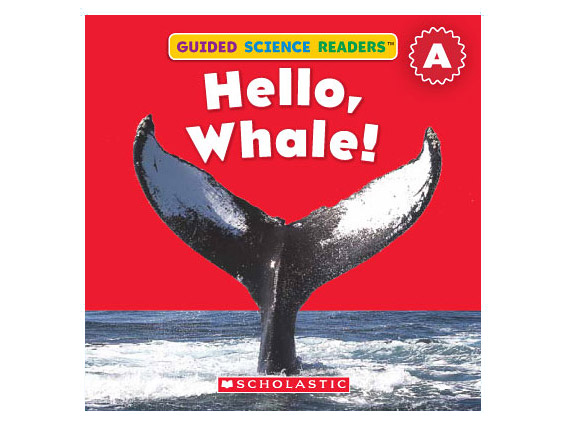 book cover: Hello Whale!