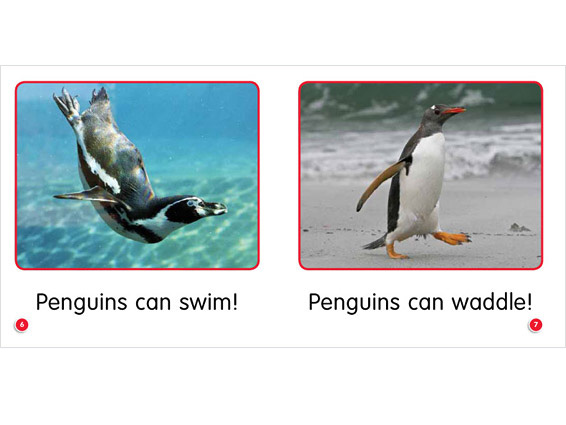 inner spread: Penguins Can Go