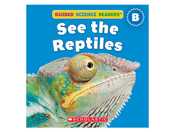 book cover: See the Reptile