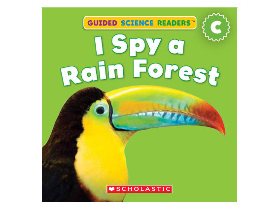 book cover: I Spy a Rain Forest