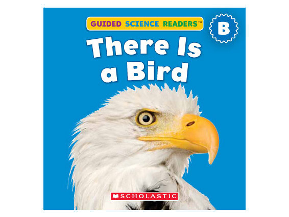 book cover: There Is a Bird