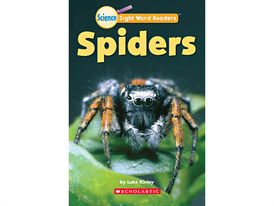 book cover: Spiders