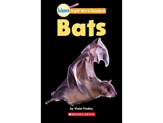 book cover: Bats