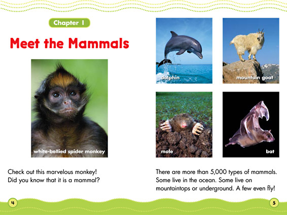 Inner spread: Marvelous Mammals