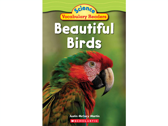 book cover: Beautiful Birds