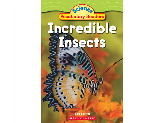 book cover: Incredible Insects