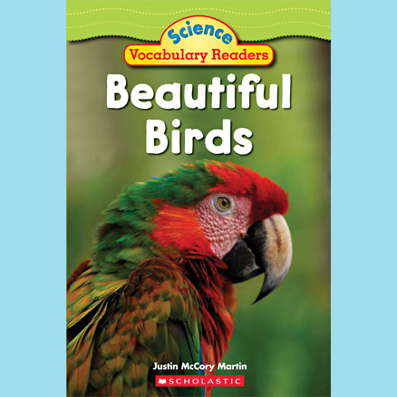 book cover: Beautiful Birds